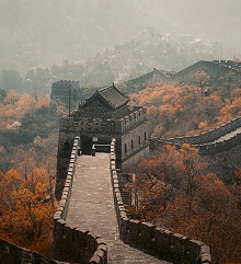 Tassi in Cina